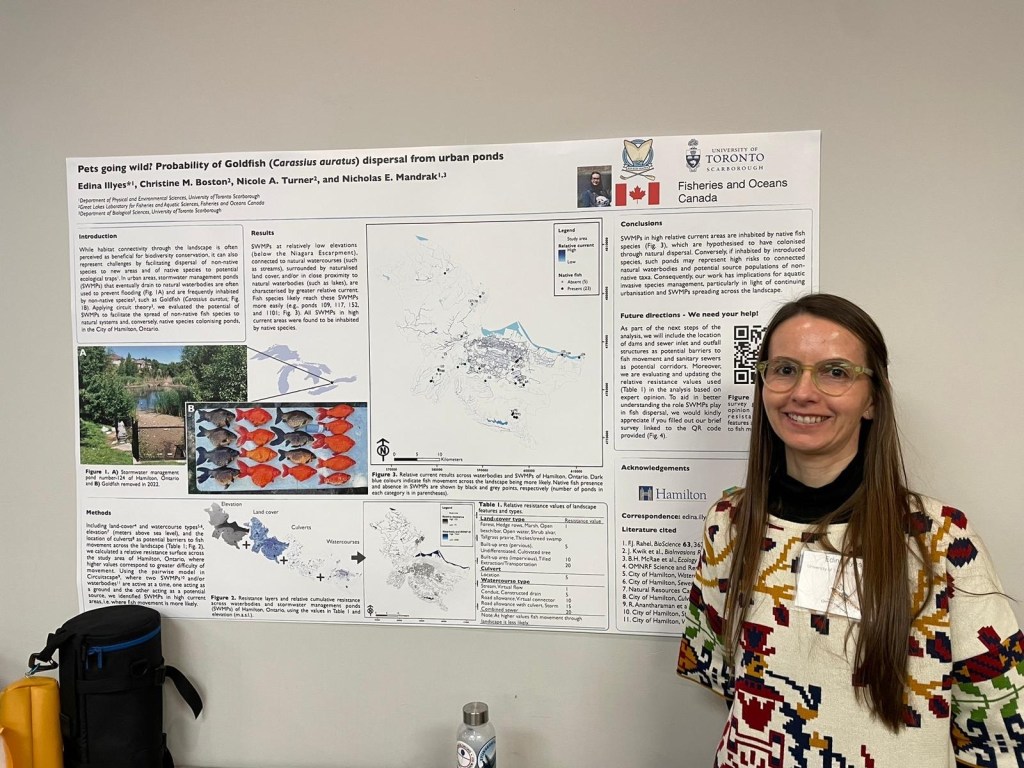 Edina Ilyes (PhD Candidate) presents a poster on her research at the American Fisheries Society (Ontario Chapter) meeting in January, 2024.